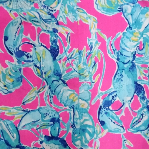 🦞VERY HTF Lilly Pulitzer🦞 - Brynn Dress - Picture 4 of 15